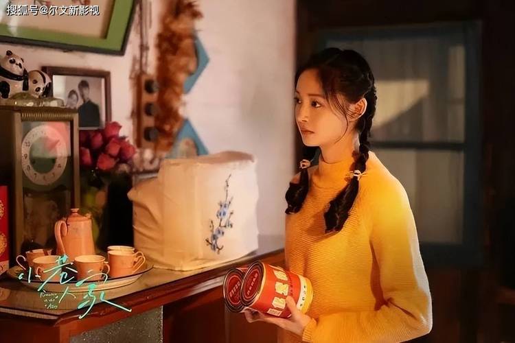 何巧慧离婚陷阱:人性与法律的较量 何巧慧离婚陷阱:人性与法律的较量