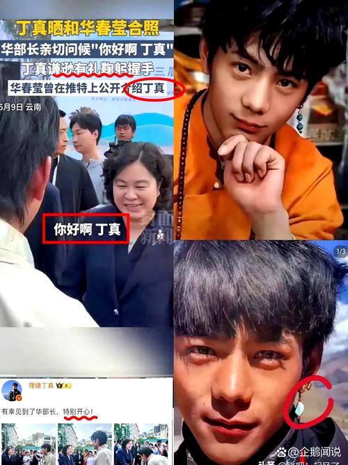 丁真综艺被使唤,明星偷懒网友心疼 丁真综艺被使唤,明星偷懒网友心疼