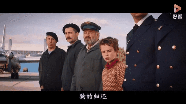感人治愈电影我会好好:人狗情深,生命意义思辨 感人治愈电影我会好好:人狗情深,生命意义思辨