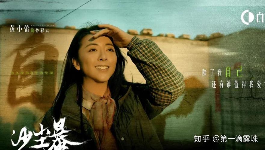 沙尘暴谜案:丁宝元冤情与复仇之谜 沙尘暴谜案:丁宝元冤情与复仇之谜