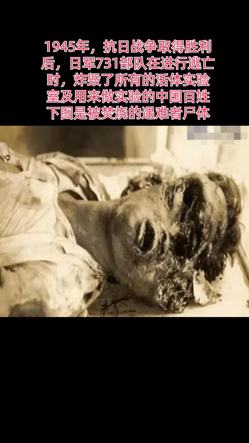 《黑太阳731》真实震撼，令人难受，揭露731部队罪行