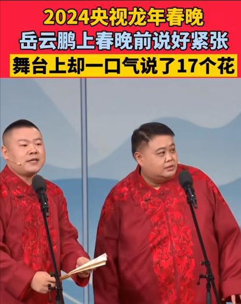 2025春晚岳云鹏再战，争议与期待并存