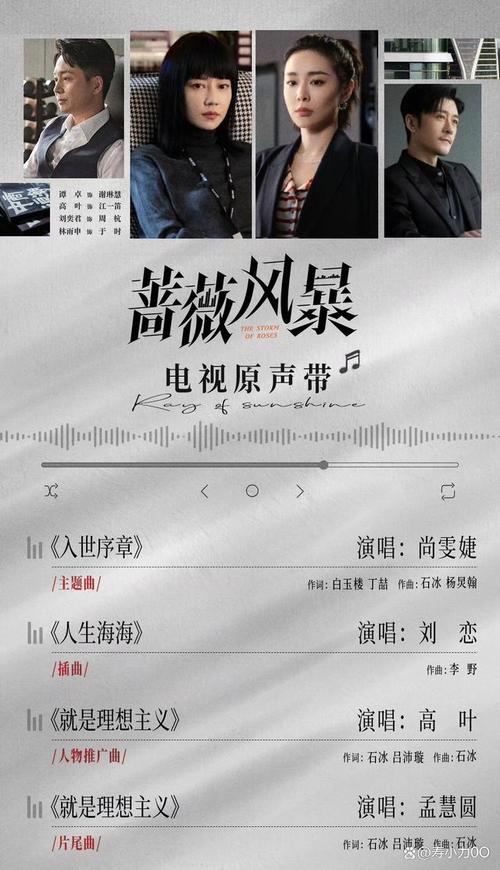 蔷薇风暴:职场风云,中年女性与青年奋斗 蔷薇风暴:职场风云,中年女性与青年奋斗
