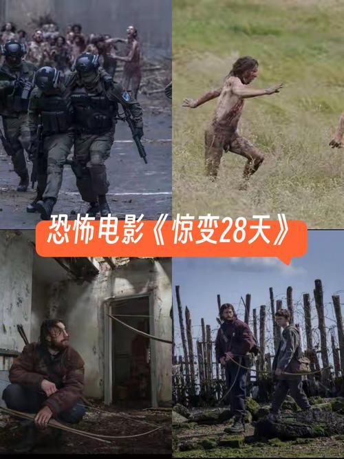 《惊变28天》续集《惊变28年》，风格依旧，剧情狗血难懂