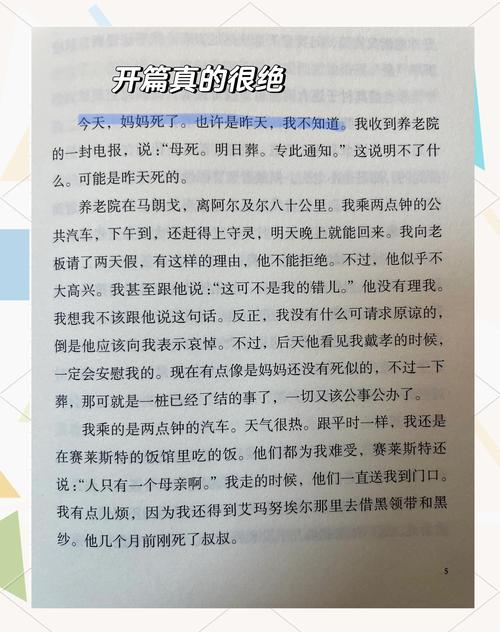 《局外人》回忆录 爱情只剩模糊符号
