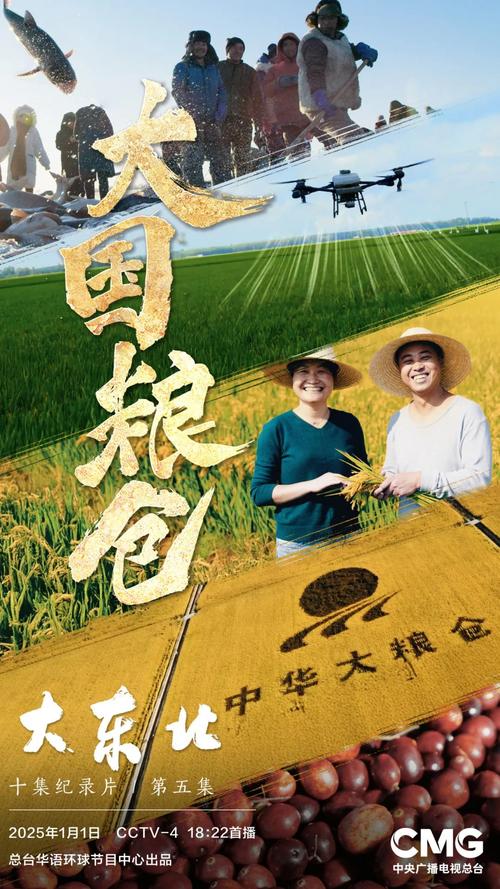大国粮仓:东北农业辉煌与挑战 大国粮仓:东北农业辉煌与挑战