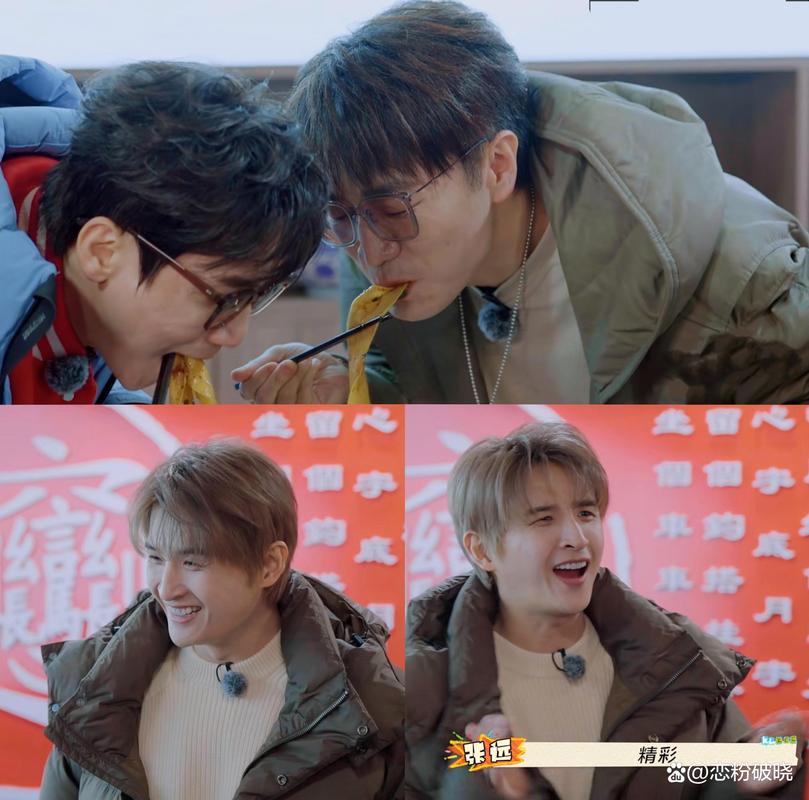《快乐再出发》:选秀巅峰再就业男团的治愈之旅回顾 《快乐再出发》:选秀巅峰再就业男团的治愈之旅回顾