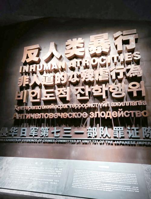 《南京照相馆》口碑爆棚,731真相令人泪目,历史不容忘却 《南京照相馆》口碑爆棚,731真相令人泪目,历史不容忘却