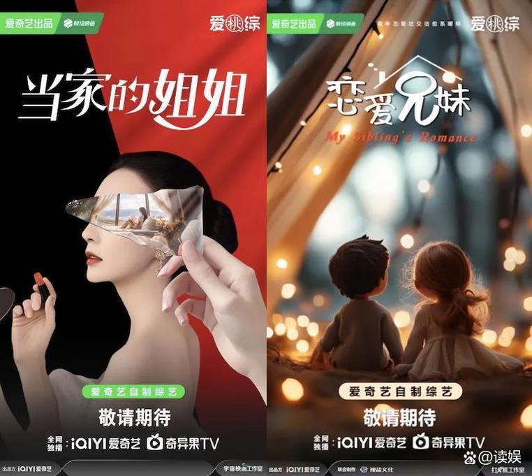 爱奇艺《姐姐当家》看后感 网络理论不适用，生活复杂，心态失衡