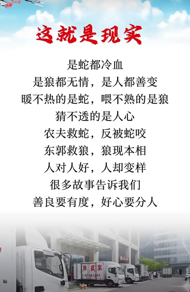 亲情冷暖:丁丁的善意与无情现实 亲情冷暖:丁丁的善意与无情现实