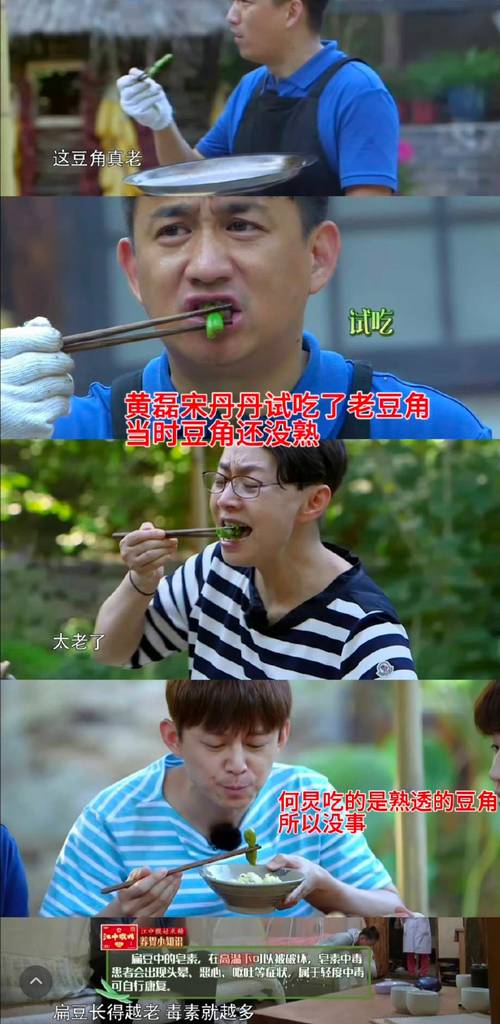 《骗骗喜欢你2》立项!金晨孙阳再演情侣,票房超4亿续集来了 《骗骗喜欢你2》立项!金晨孙阳再演情侣,票房超4亿续集来了