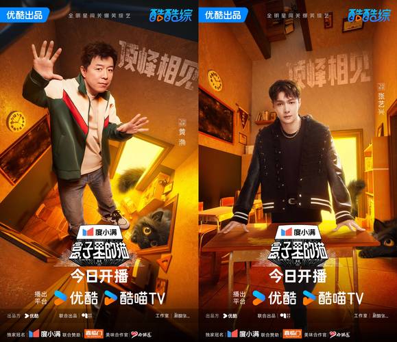 盒子猫第二季爆火,创新综艺引发热议 盒子猫第二季爆火,创新综艺引发热议