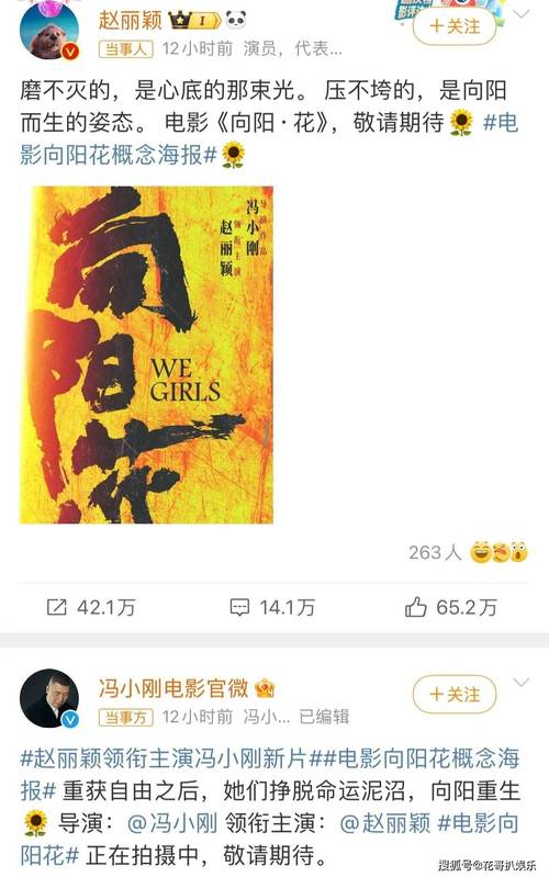 向阳花预售开售,赵丽颖冯小刚联手,票房预测2亿起 向阳花预售开售,赵丽颖冯小刚联手,票房预测2亿起