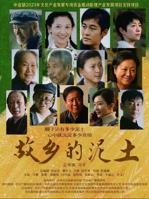 青山故乡:农村剧新黑马,董大林创业故事引关注 青山故乡:农村剧新黑马,董大林创业故事引关注