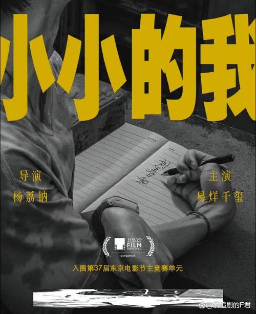 小小我:脑瘫少年的圆梦之旅 小小我:脑瘫少年的圆梦之旅