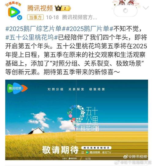 桃花坞新一季反响平淡，期待老友回归