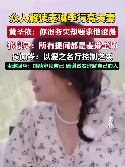 麦琳风波:舆论漩涡中的艺人形象与公众形象探讨 麦琳风波:舆论漩涡中的艺人形象与公众形象探讨