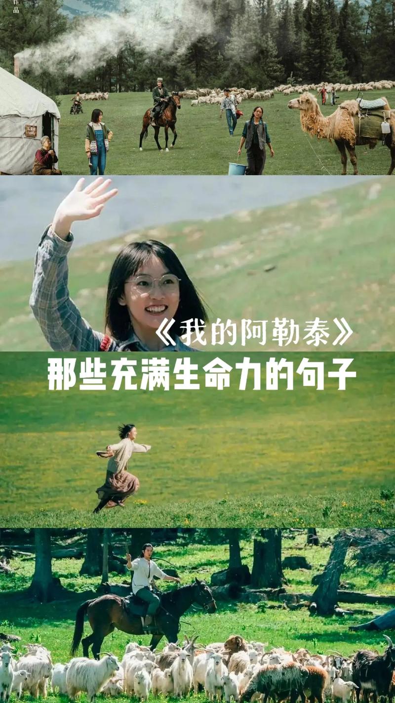 阿勒泰启示:人生三维平衡的艺术 阿勒泰启示:人生三维平衡的艺术