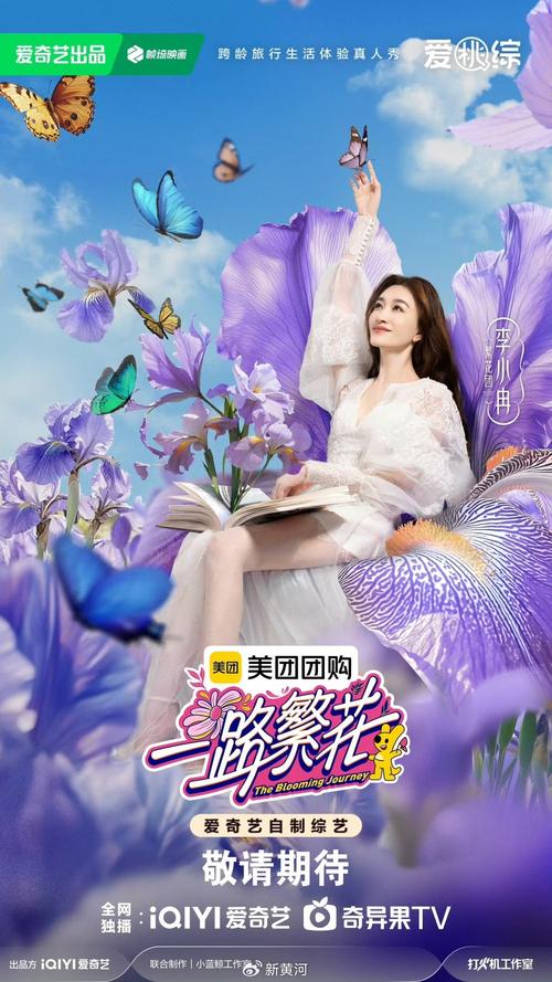 姐姐旅行真人秀:明星真实面目与真人秀真相 姐姐旅行真人秀:明星真实面目与真人秀真相