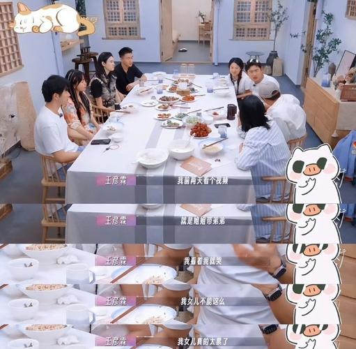 朱丹分鸡腿引热议 明星家务事放大检视，育儿期待引反思