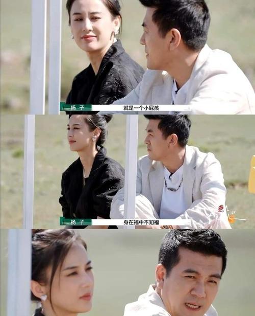 杨子黄圣依离婚风波:资本婚姻背后的思考与挑战 杨子黄圣依离婚风波:资本婚姻背后的思考与挑战