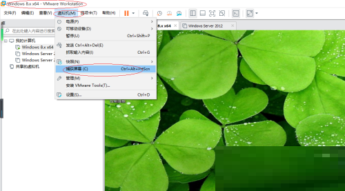 VMware Workstation怎么截屏?VMware Workstation截屏教程截图