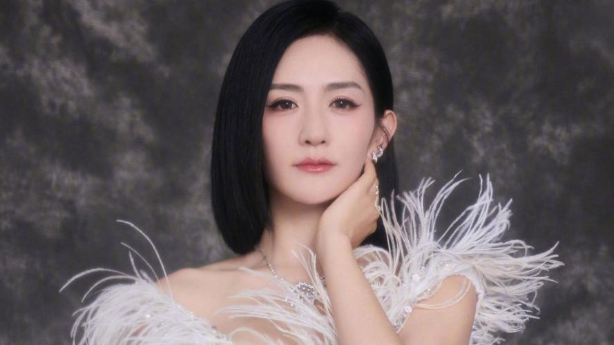 李维嘉低谷谢娜力挺走出困境