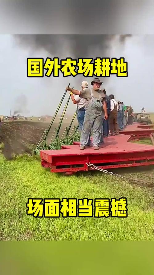 年轻人爱上种地,国外夫妻荒地变农场,尊重自然收获美好 年轻人爱上种地,国外夫妻荒地变农场,尊重自然收获美好