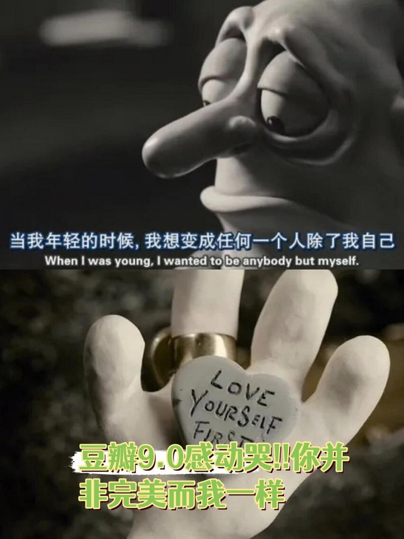 玛丽和麦克斯治愈大片，看哭好多人！