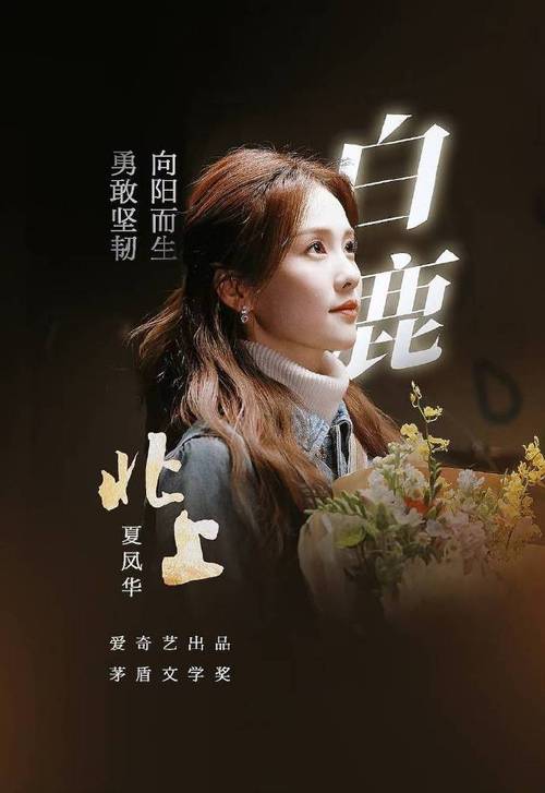 北上热播,收视破3.5!白鹿主演年代剧成年度爆款 北上热播,收视破3.5!白鹿主演年代剧成年度爆款