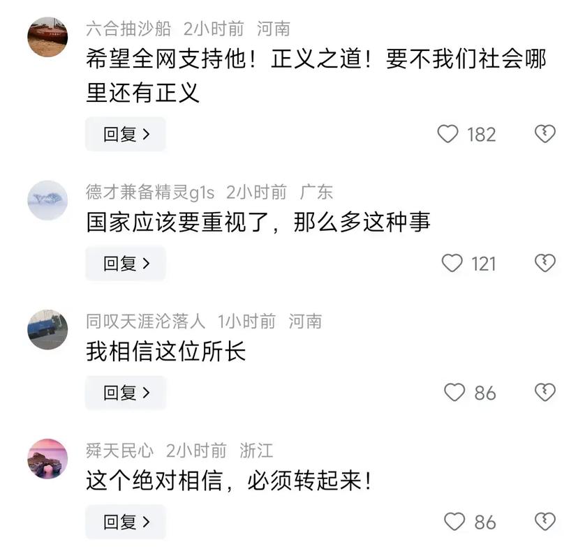 2024刑侦巨作来袭：真心英雄，正义之光