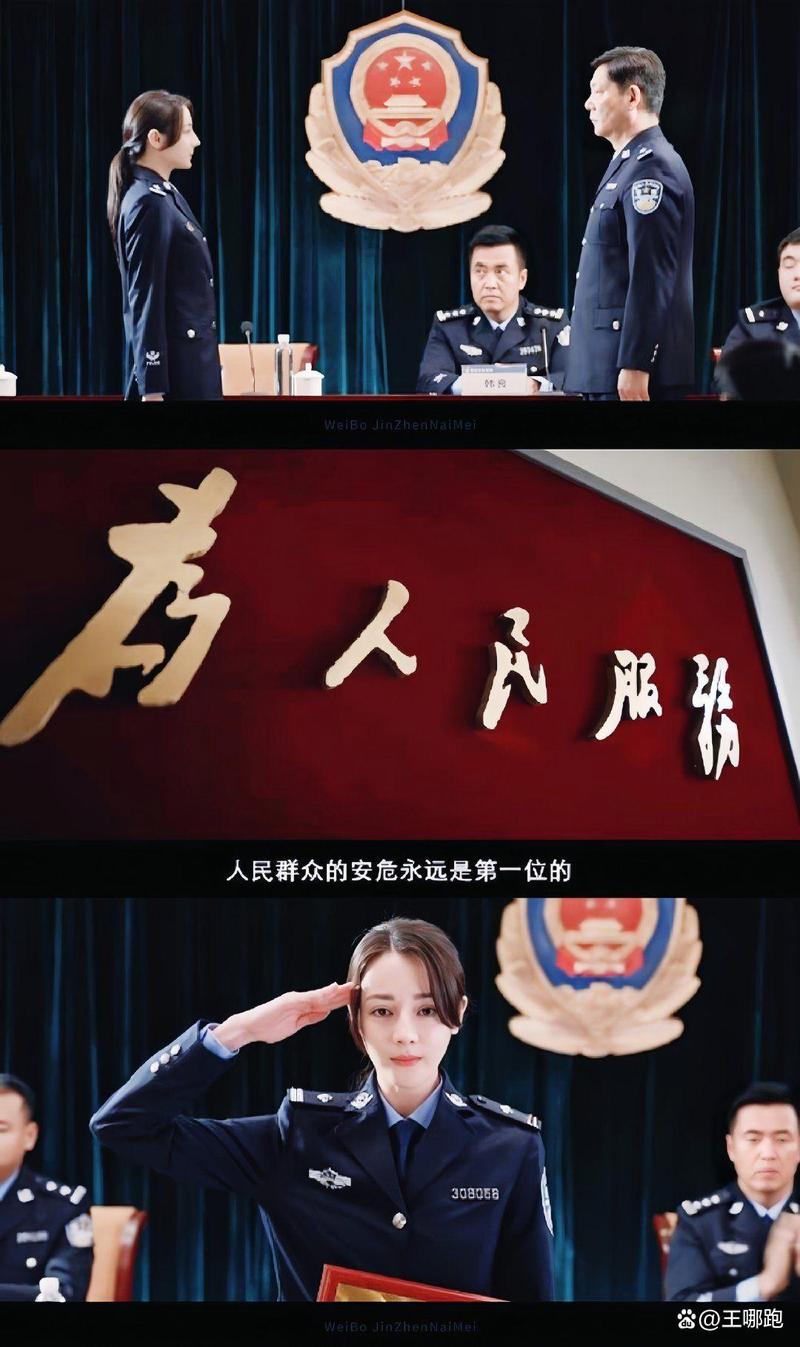 《利剑·玫瑰》收视高，打拐剧感人至深