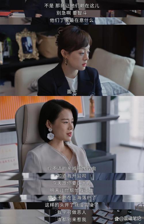 国产剧 女性力量崛起，商界争斗彰显女性智慧