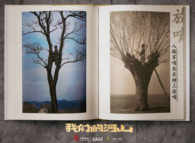 央视热播抗战剧《我们的河山》,真实再现峥嵘岁月 央视热播抗战剧《我们的河山》,真实再现峥嵘岁月