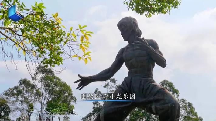 央视将播《功夫佛山》，带你探秘李小龙故乡！