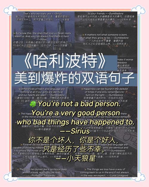 推荐《哈利波特》,两段感情启示 包容是关键 推荐《哈利波特》,两段感情启示 包容是关键