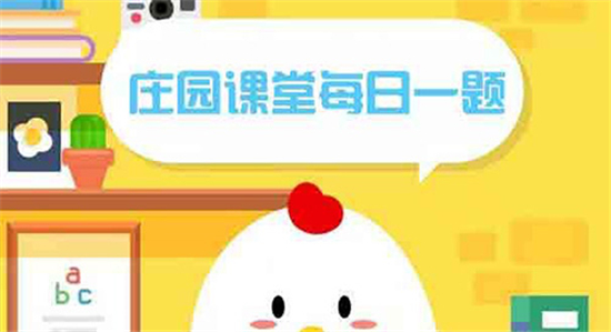 小鸡庄园最新的答案11.14是什么 小鸡庄园最新答题答案2022年11月14日