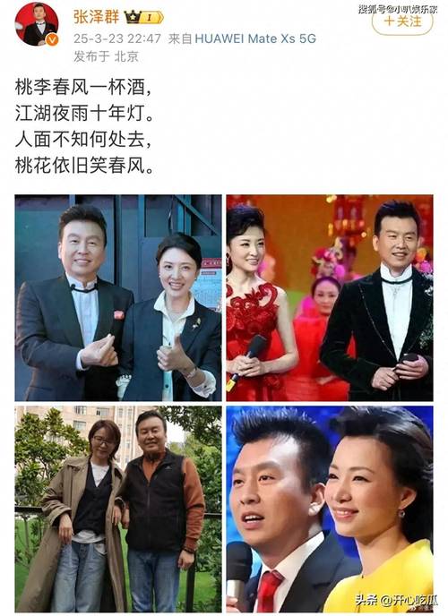 张泽群周涛董卿再聚首,央视主持天团回忆杀来袭 张泽群周涛董卿再聚首,央视主持天团回忆杀来袭
