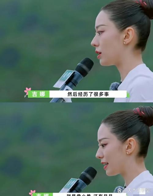 吉娜《桃花坞》被冷落，更坚强了