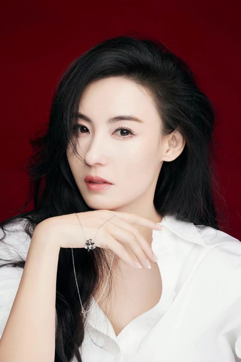 张柏芝魅力闪耀娱乐圈:多面才女粉丝心中的不可替代 张柏芝魅力闪耀娱乐圈:多面才女粉丝心中的不可替代