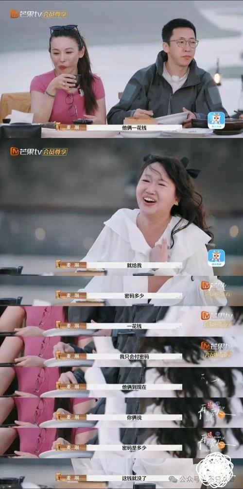 麦琳综艺争议:直面网暴,婚姻问题引热议 麦琳综艺争议:直面网暴,婚姻问题引热议