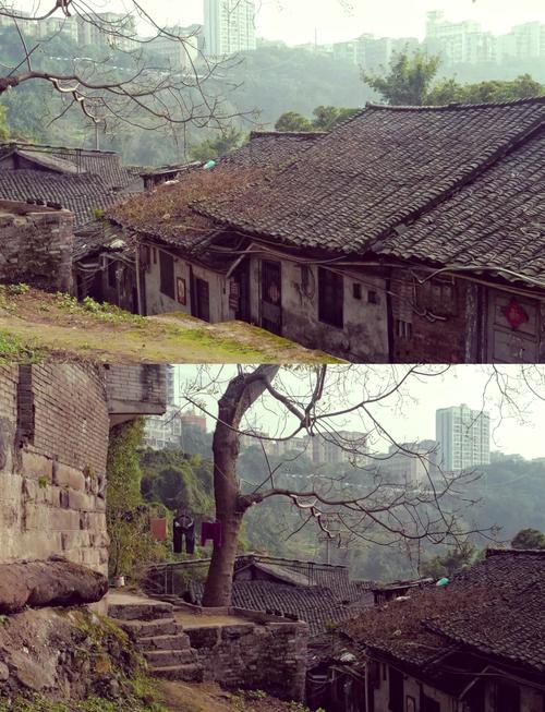 CCTV纪录片揭秘大巴山:盐道中药长寿文化探秘 CCTV纪录片揭秘大巴山:盐道中药长寿文化探秘