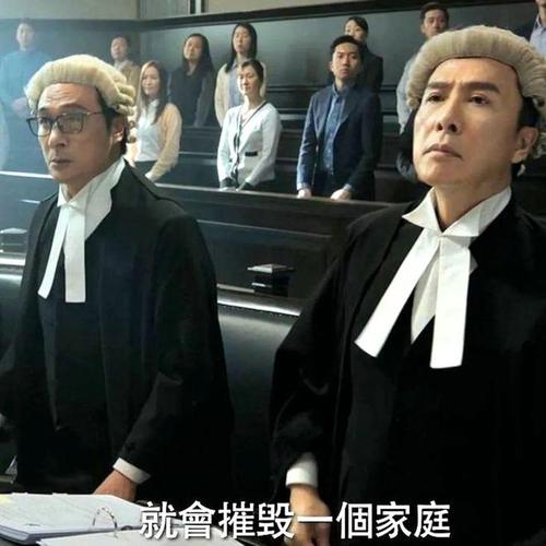 甄子丹主演误判正义对决，真实悲剧震撼上映