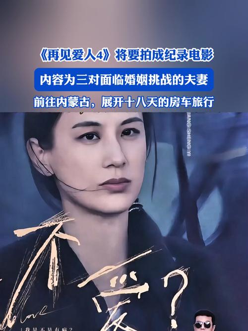 再见爱人4:三对爱情故事,反思婚姻与自我成长 再见爱人4:三对爱情故事,反思婚姻与自我成长
