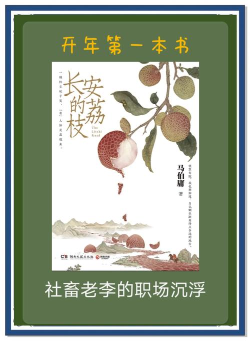 《长安的荔枝》 基层必看，压力人情与生存启示