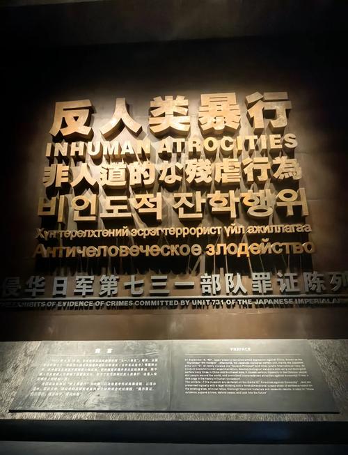 《南京照相馆》《731》揭历史伤疤，勿忘国耻！