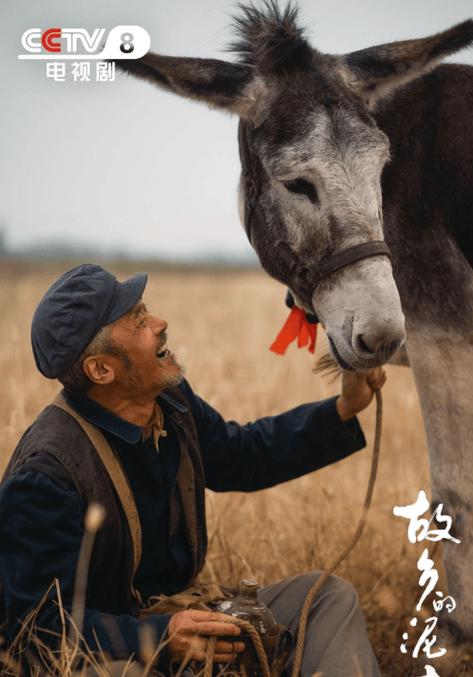 青山故乡:董大林奋斗记,收视破2的乡村剧 青山故乡:董大林奋斗记,收视破2的乡村剧