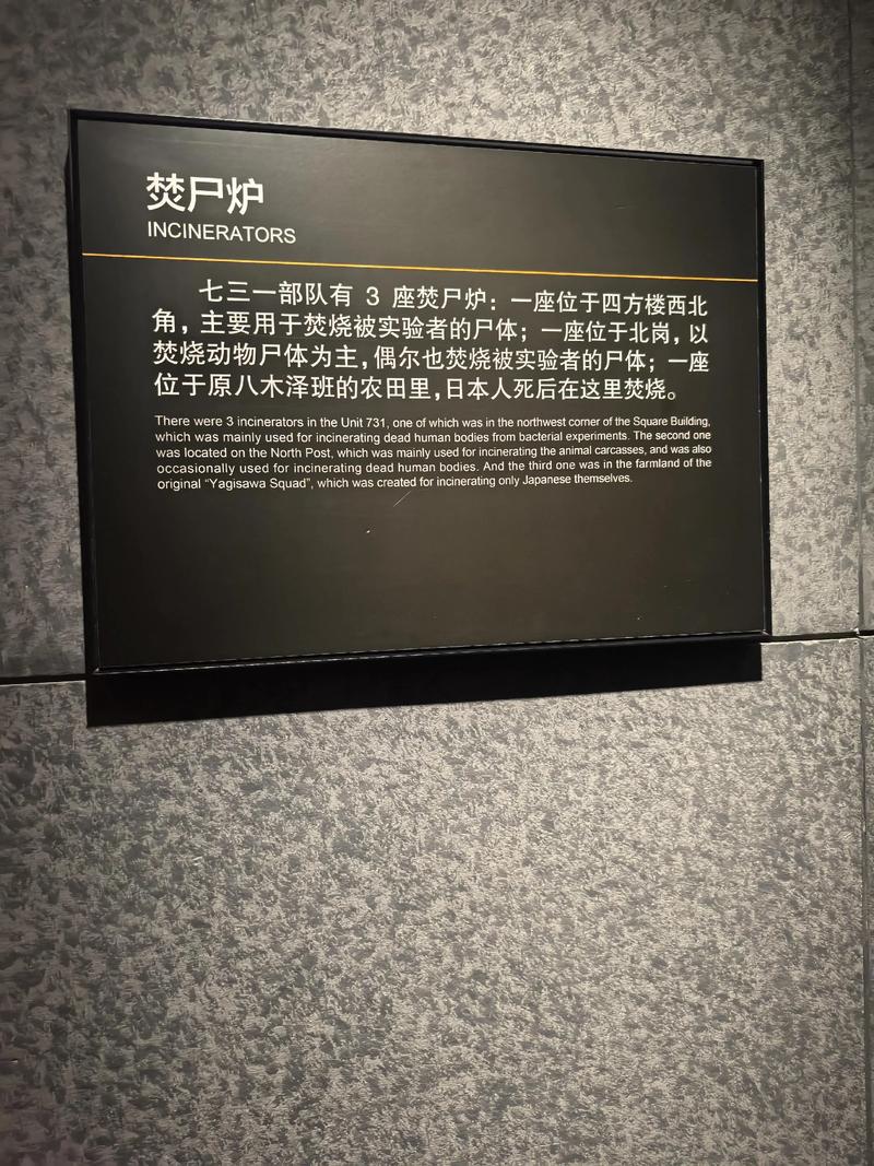 《南京照相馆》《731》揭历史伤疤，勿忘国耻！