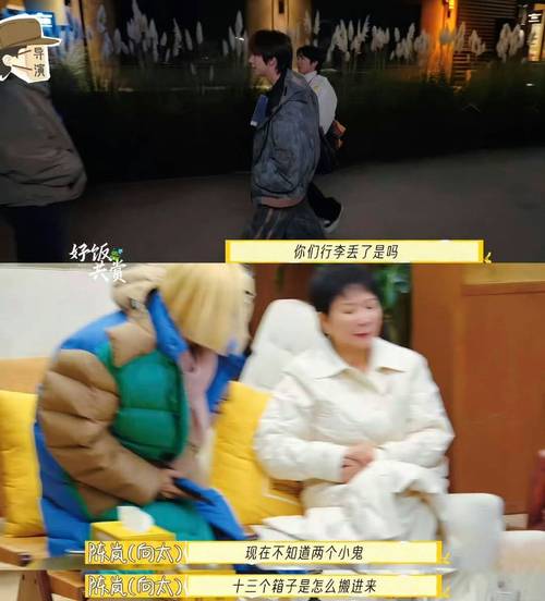 李小冉综艺大骂刘晓庆引热议:真性情还是甩脸? 李小冉综艺大骂刘晓庆引热议:真性情还是甩脸?