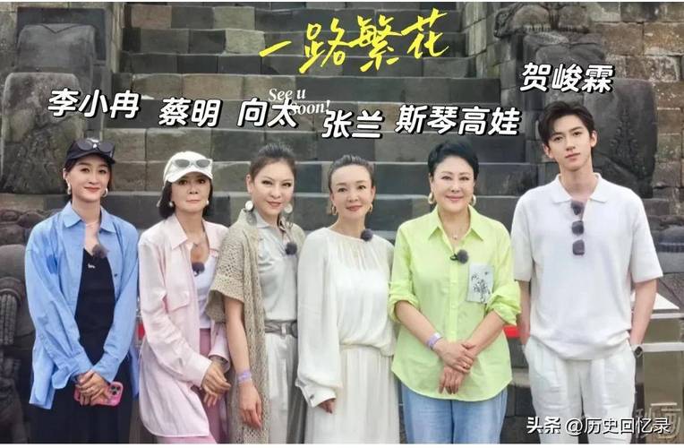 一路繁花:综艺聚焦明星真实人生 一路繁花:综艺聚焦明星真实人生
